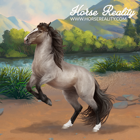 Mongolian Horse | Horse Reality Wiki