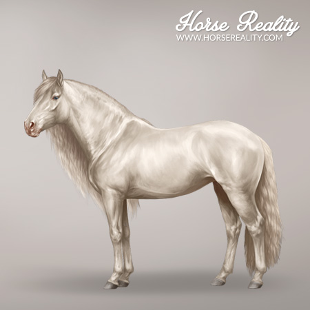 Dilutions Horse Reality Wiki Dilutions Horse Reality Wiki